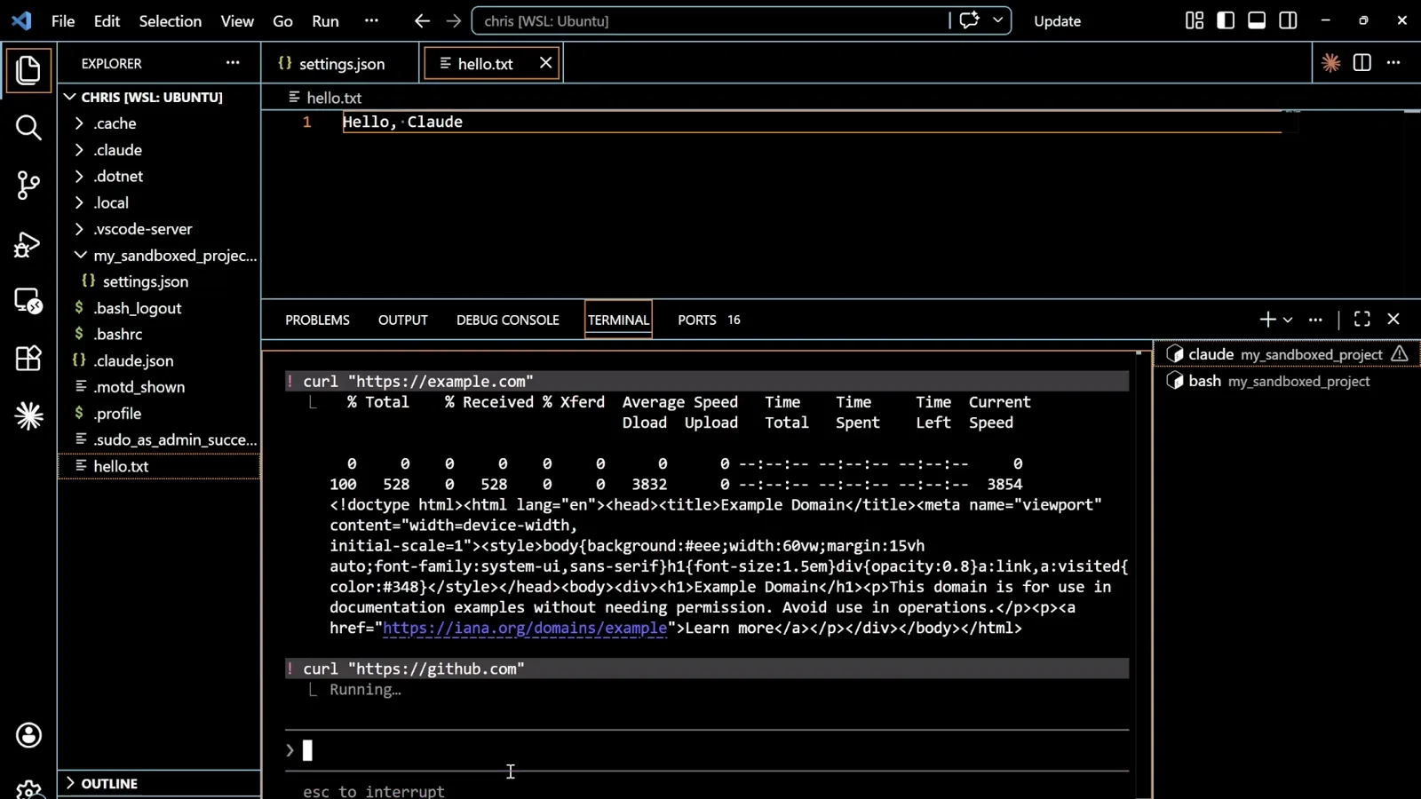 The allow-listed domain goes through Claude Code bash mode receiving 528 bytes of Example Domain HTML from curl https://example.com through the sandbox proxy and then starting curl https://github.com which is still running
